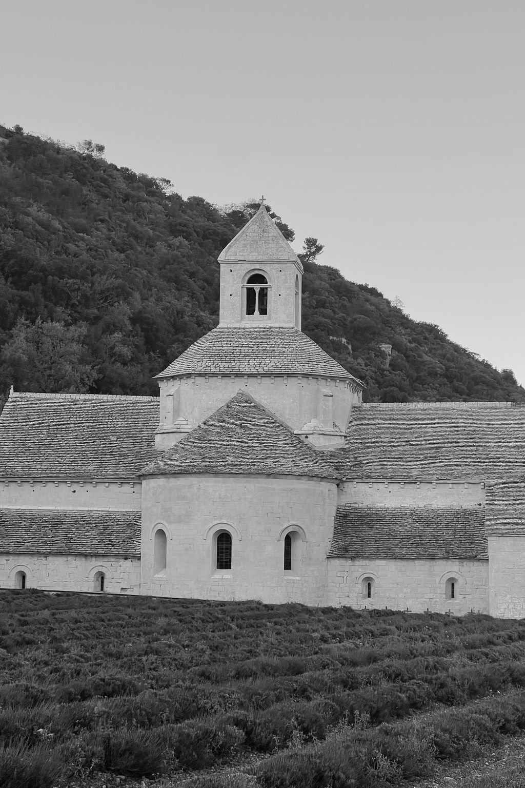senanque abbey gordes