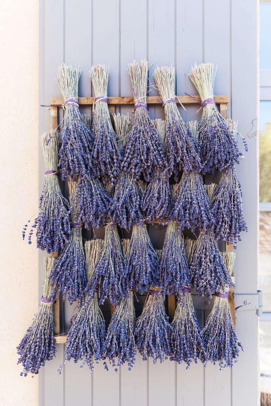 lavender hanging in a shop in Provence