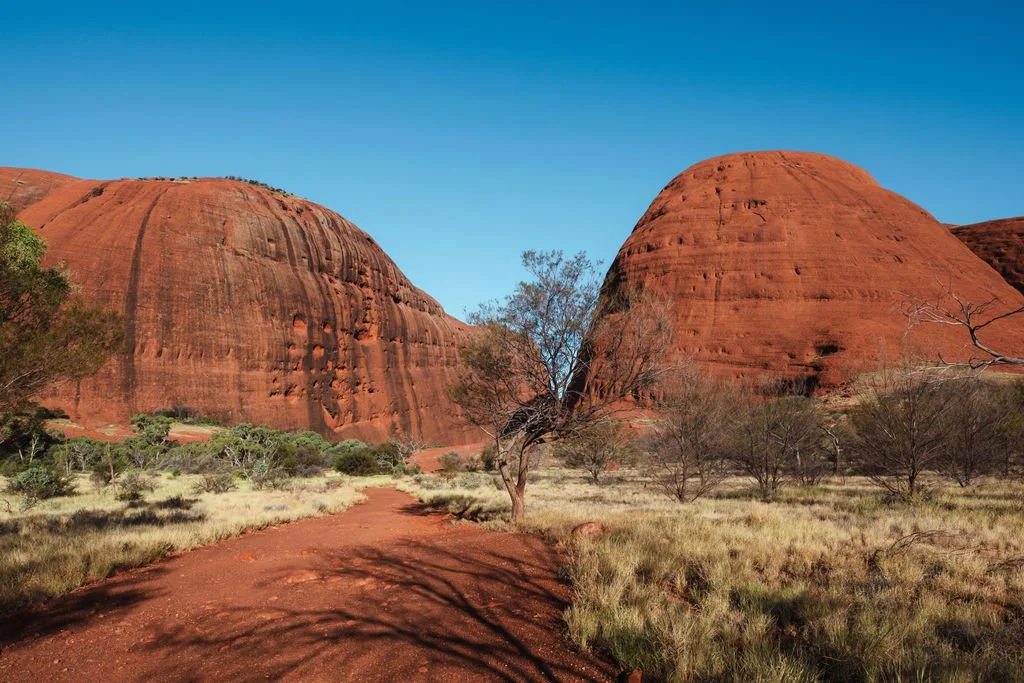 walpa gorge hike at Kata Tjuṯa
