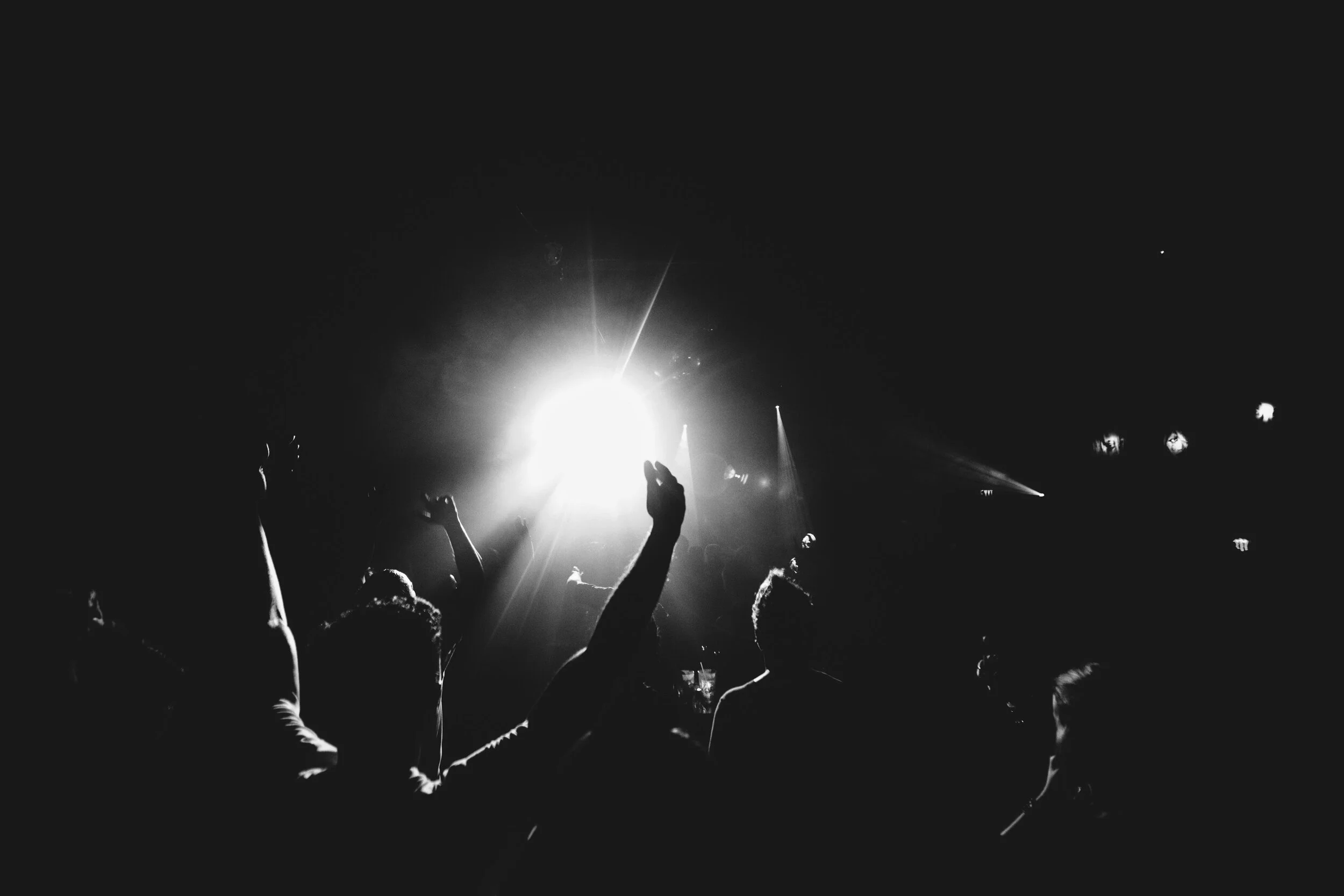 Hifi-Crowd.jpg