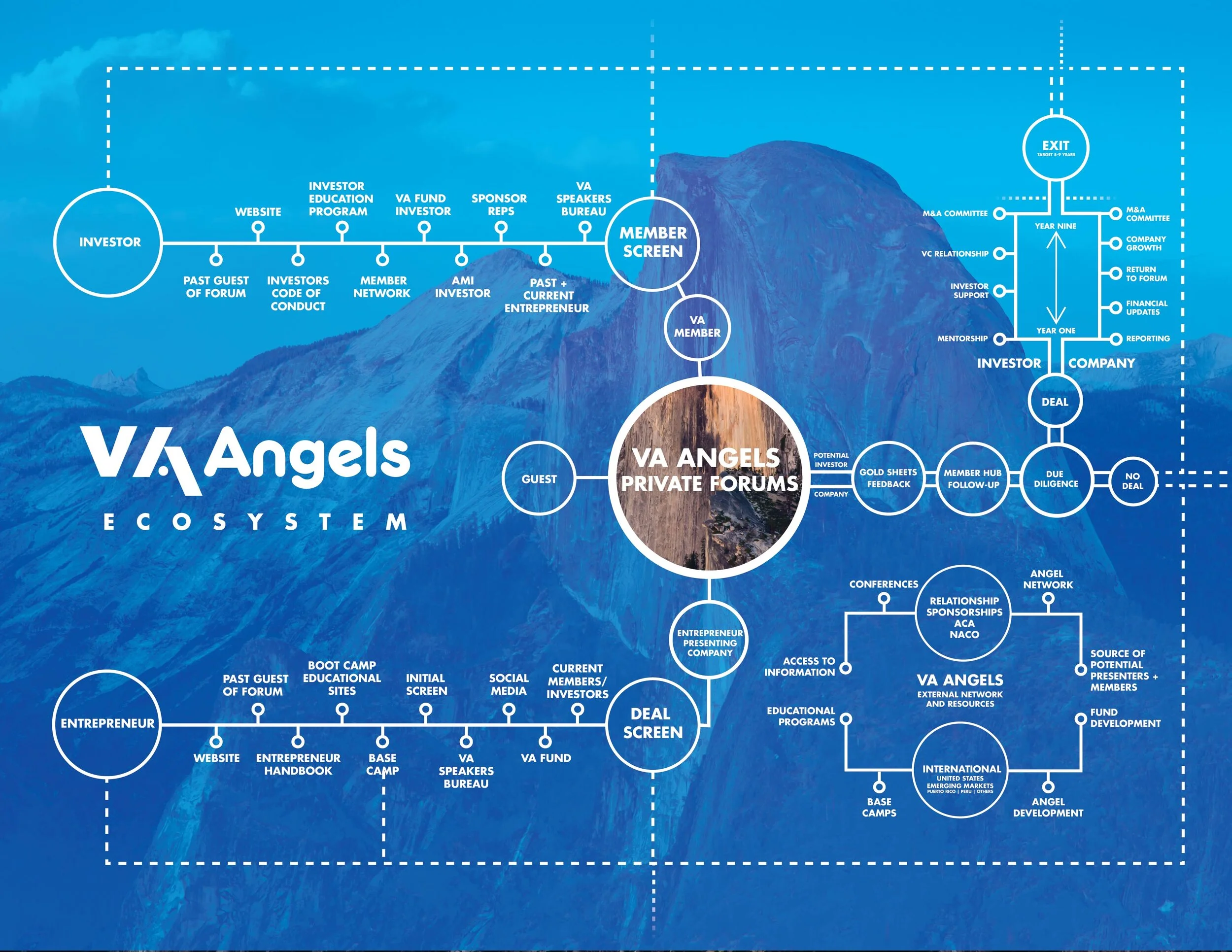 VA Angels Ecosystem-WEB-01.jpg