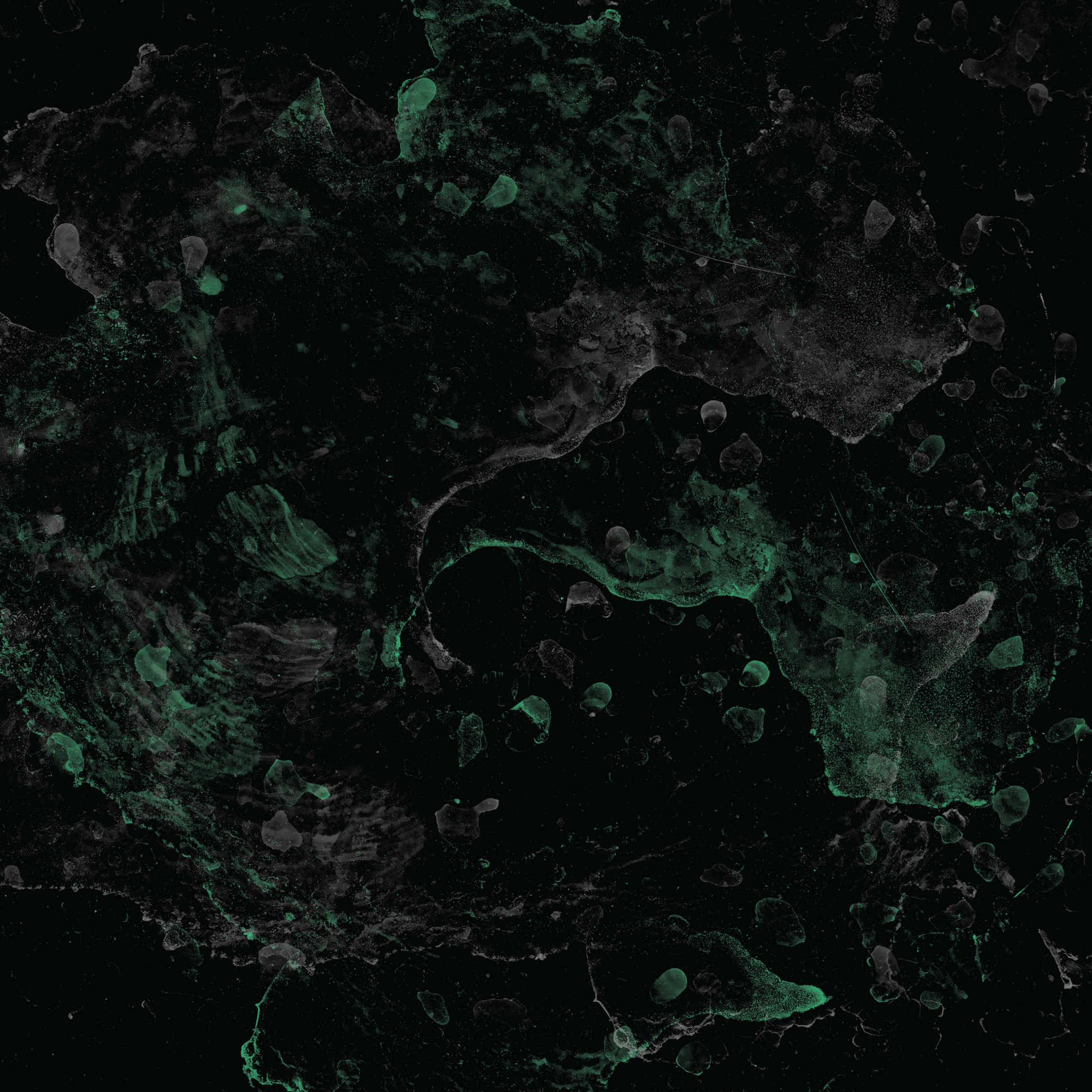 TEXTURE-II.png