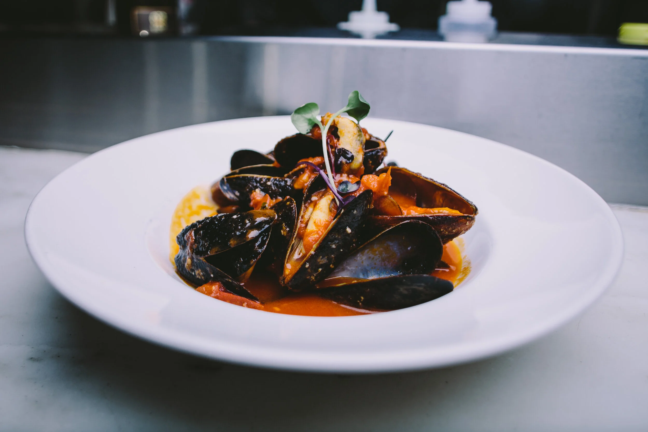 SCARPETTA - 6.jpg