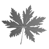 black.png