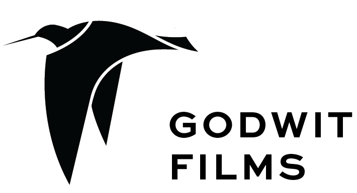 Godwit Films