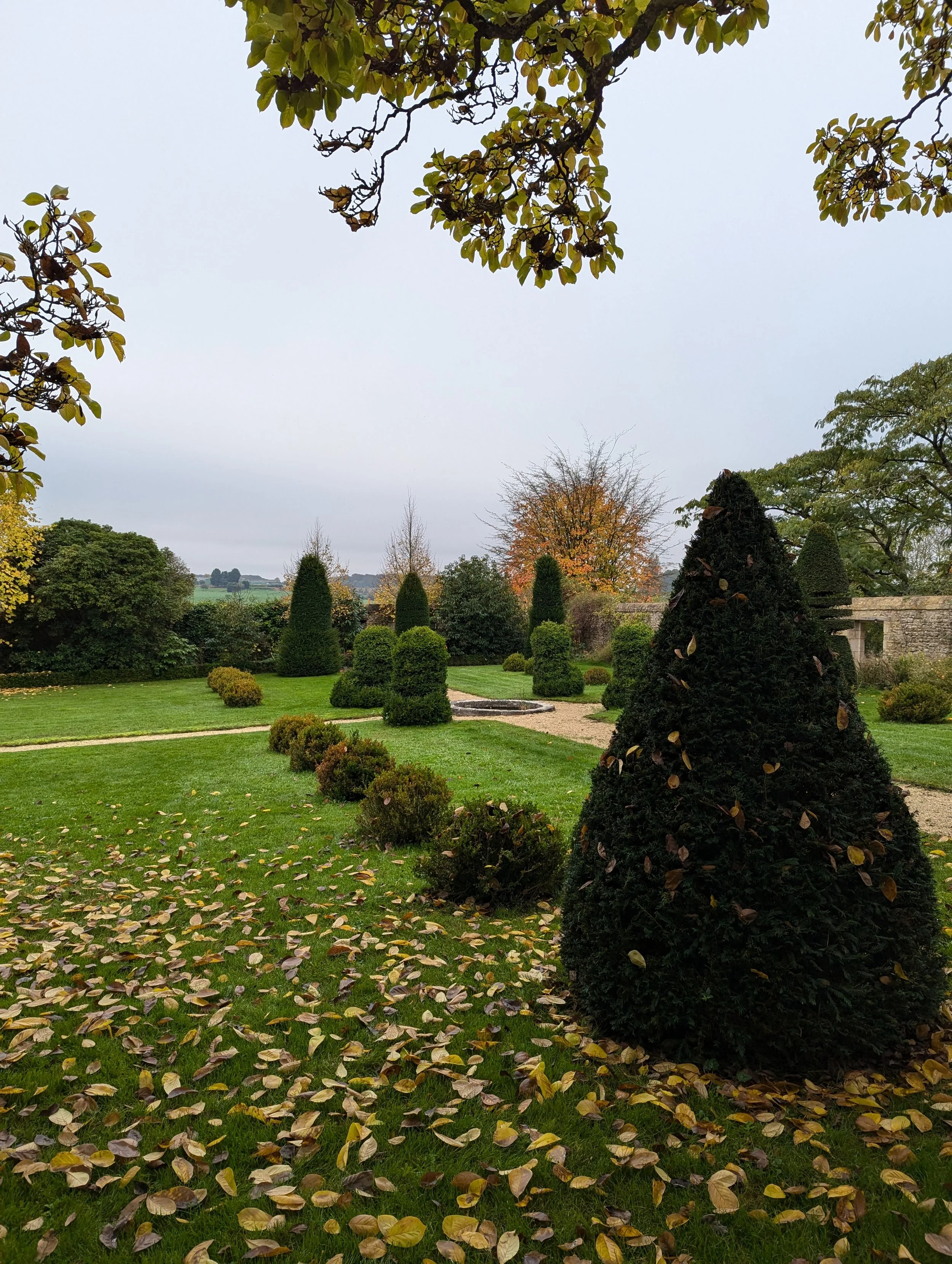 PXL_20241108_121432799.jpg
