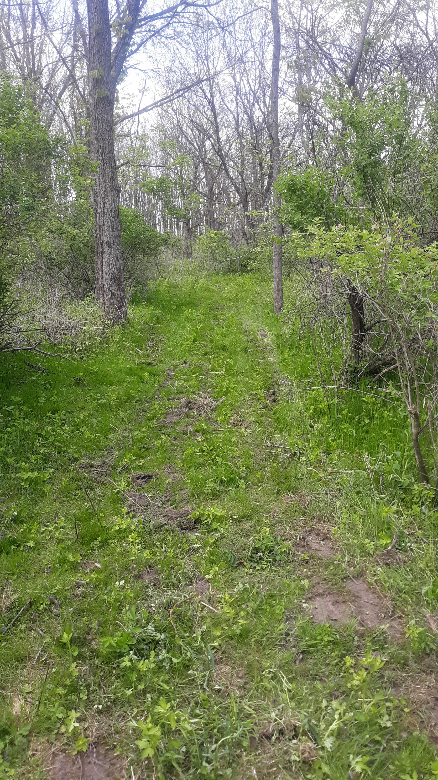 20210513_123210.jpg
