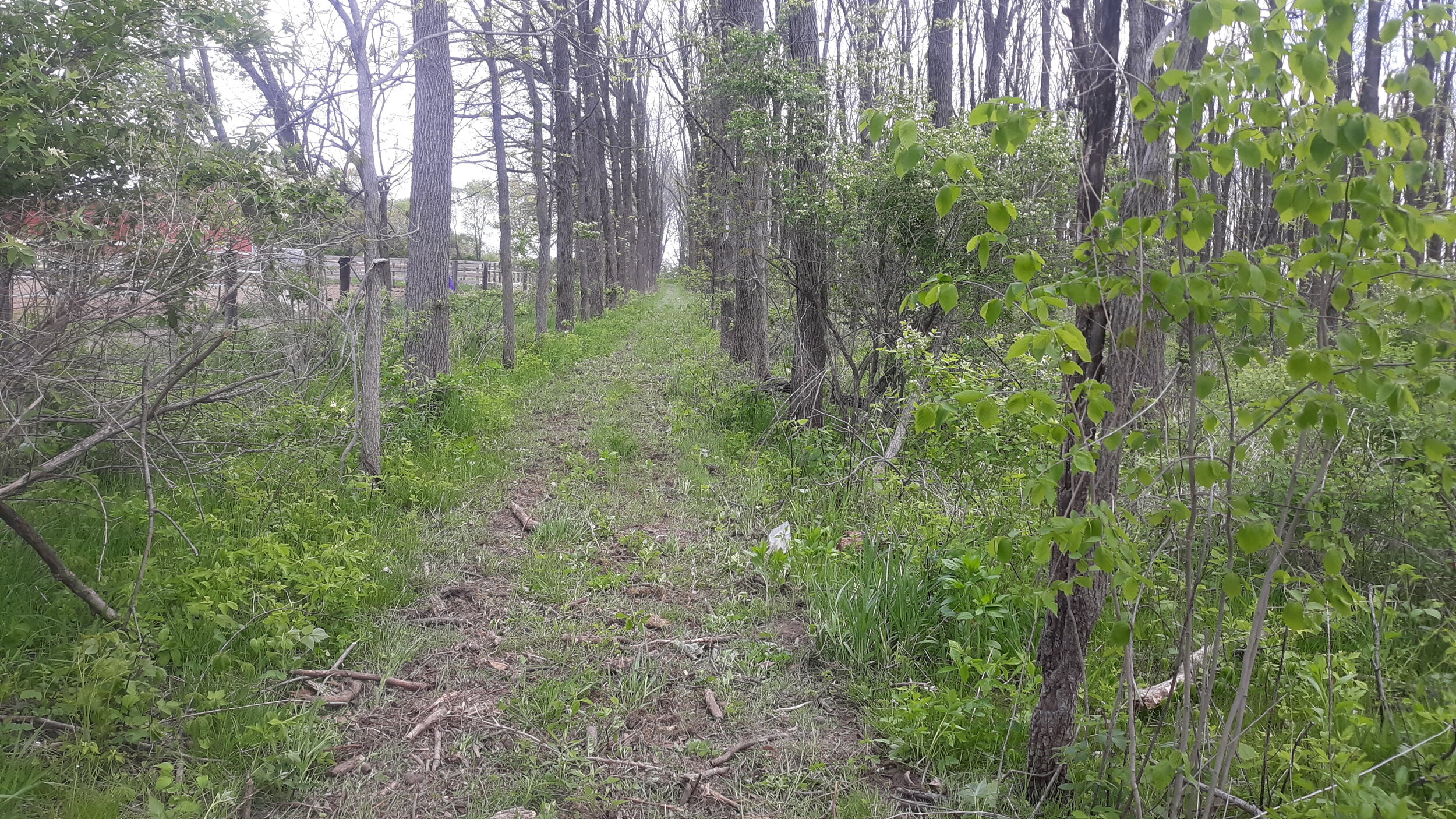 20210513_122611.jpg