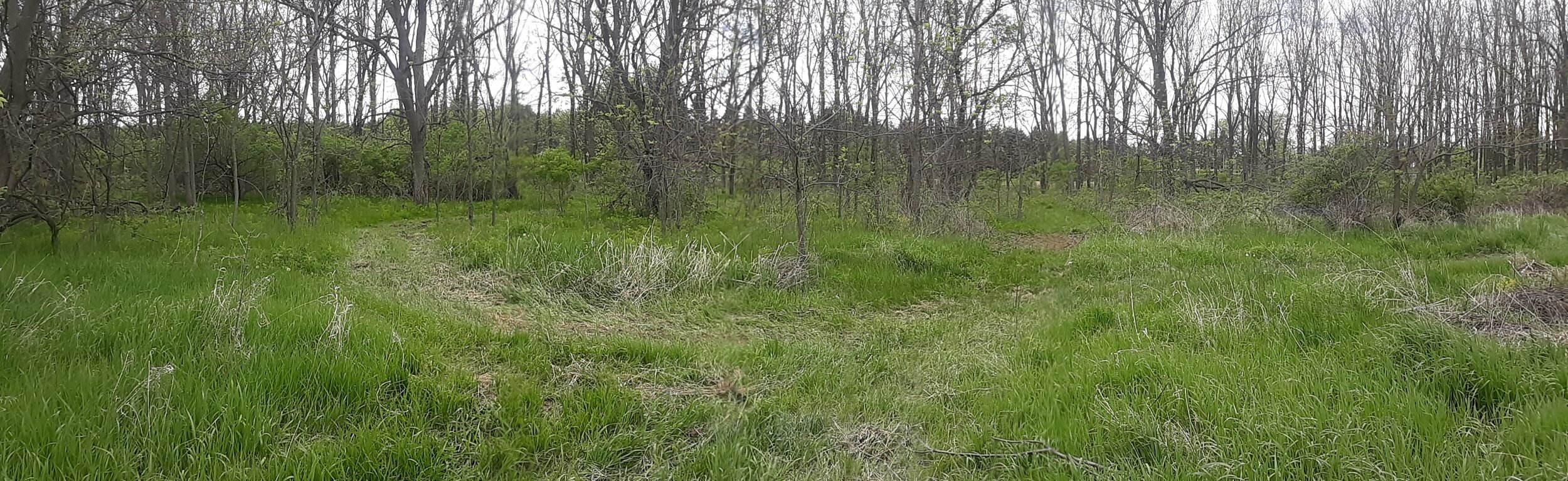 20210513_121835.jpg