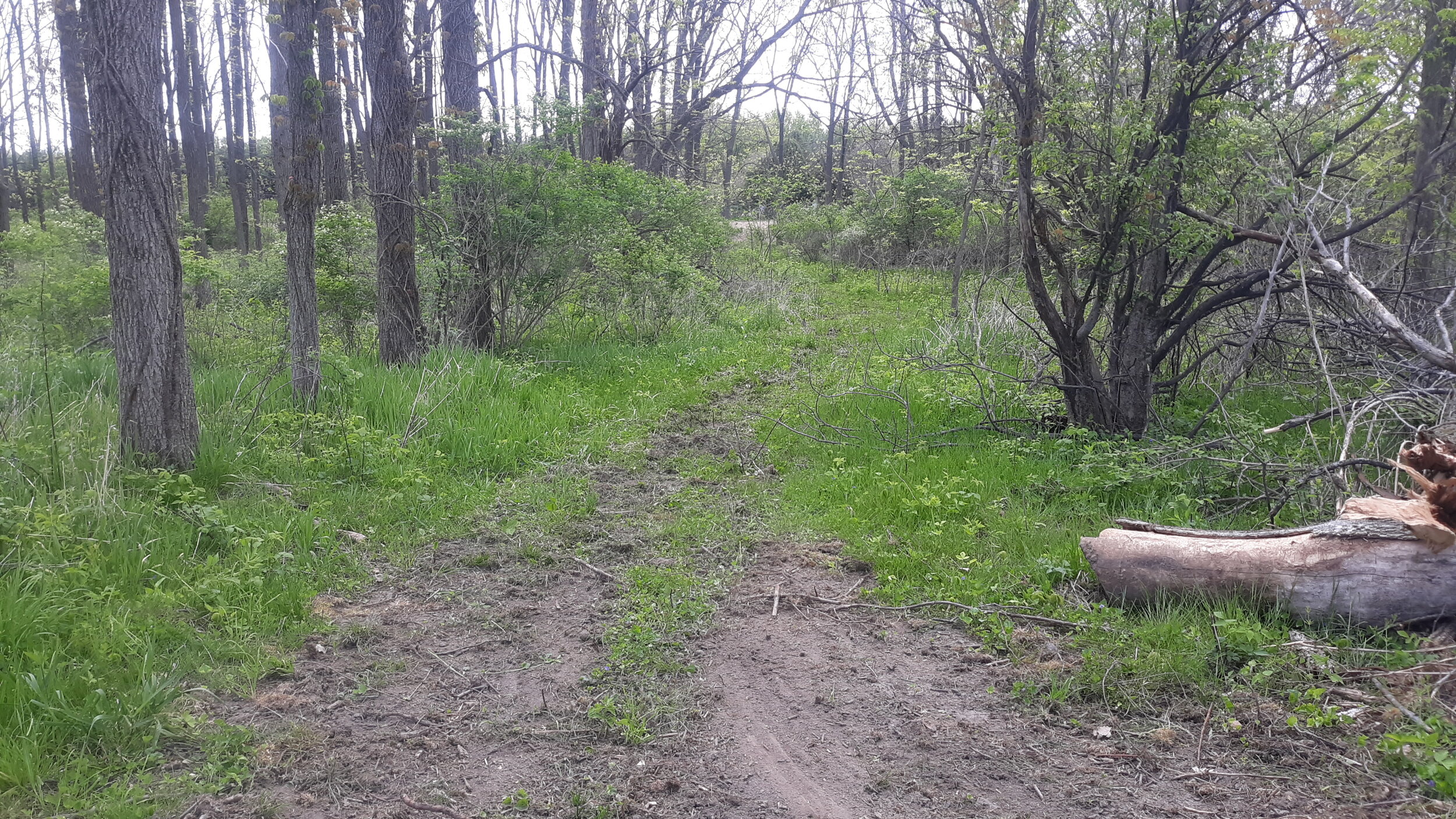 20210513_122606.jpg