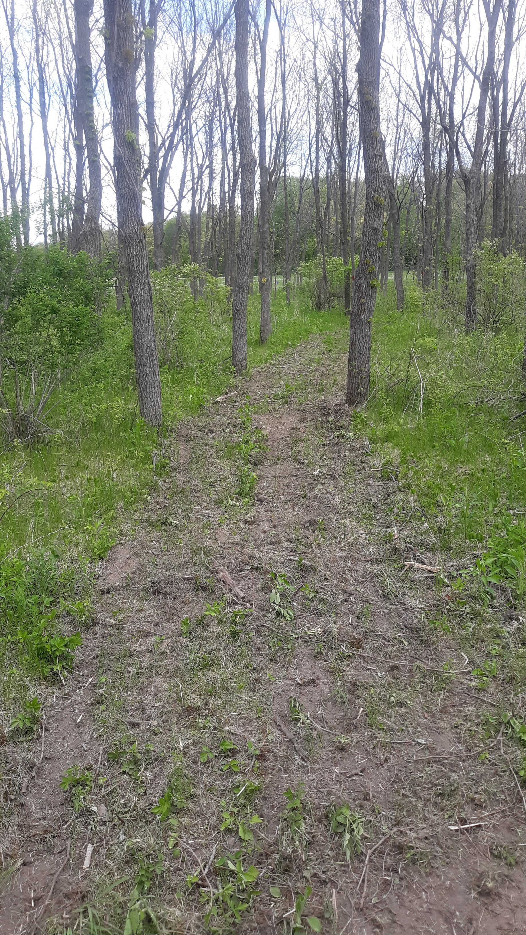 20210513_122908.jpg