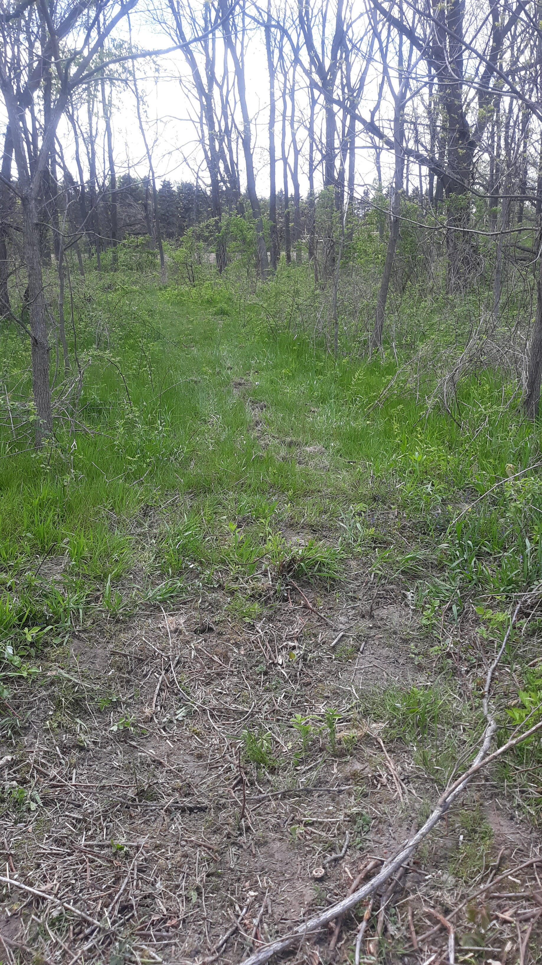 20210513_123511.jpg