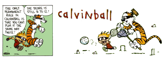 Calvinball. Source: Insaner.com