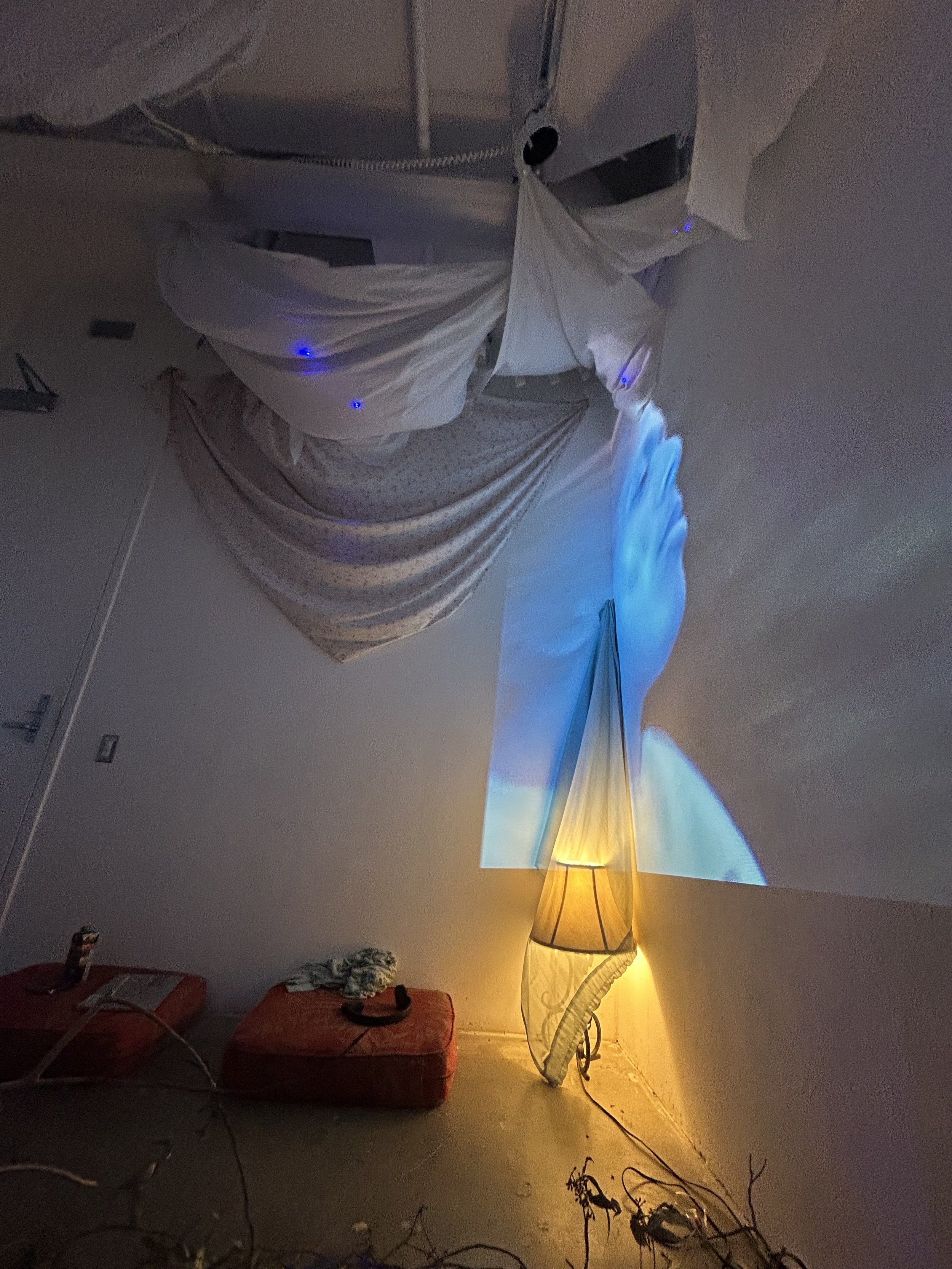 IMG_0539.jpeg