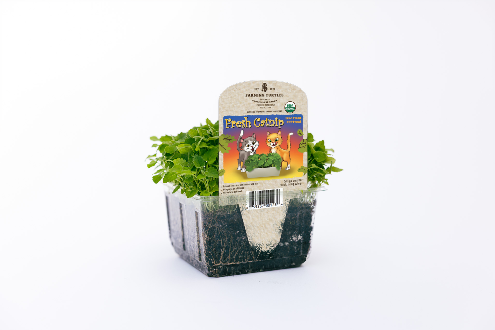 A potted plant with green leaves and a label for catnip, featuring cartoon cats and text indicating it is organic and suitable for cats.