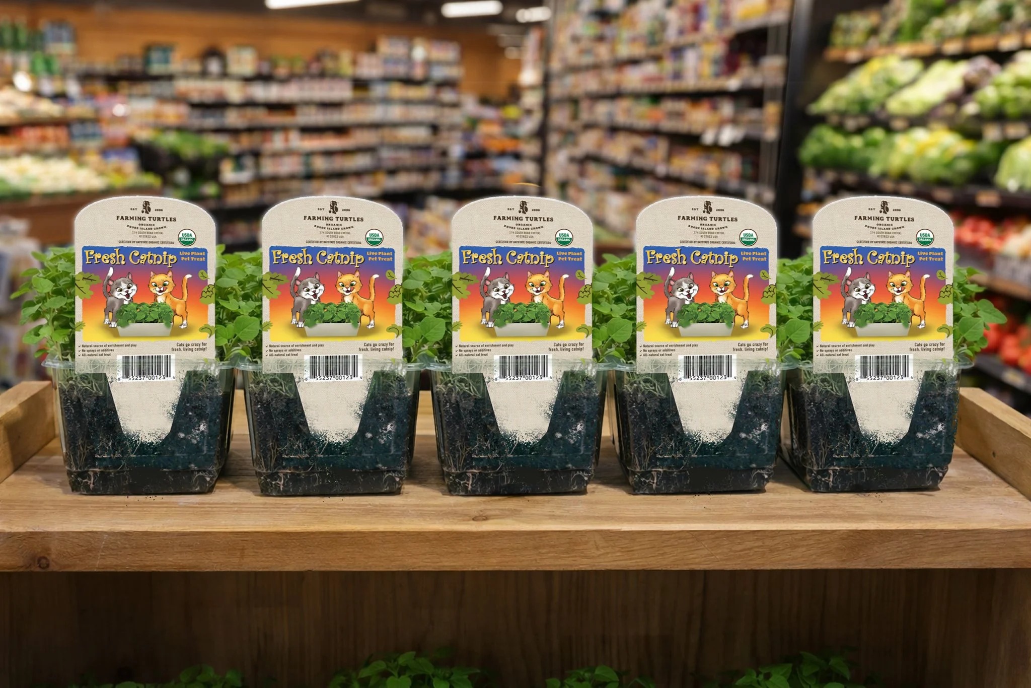 Multiple trays of organic catnip plants in packaging with cartoon cats, on a wooden shelf in a grocery store.