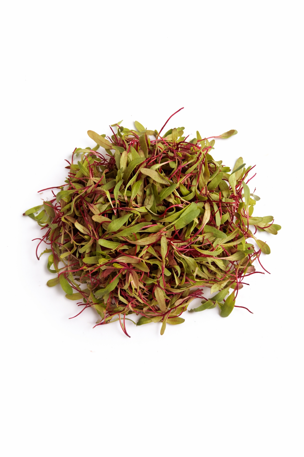 Fresh microgreens with green and red leaves on a white background.