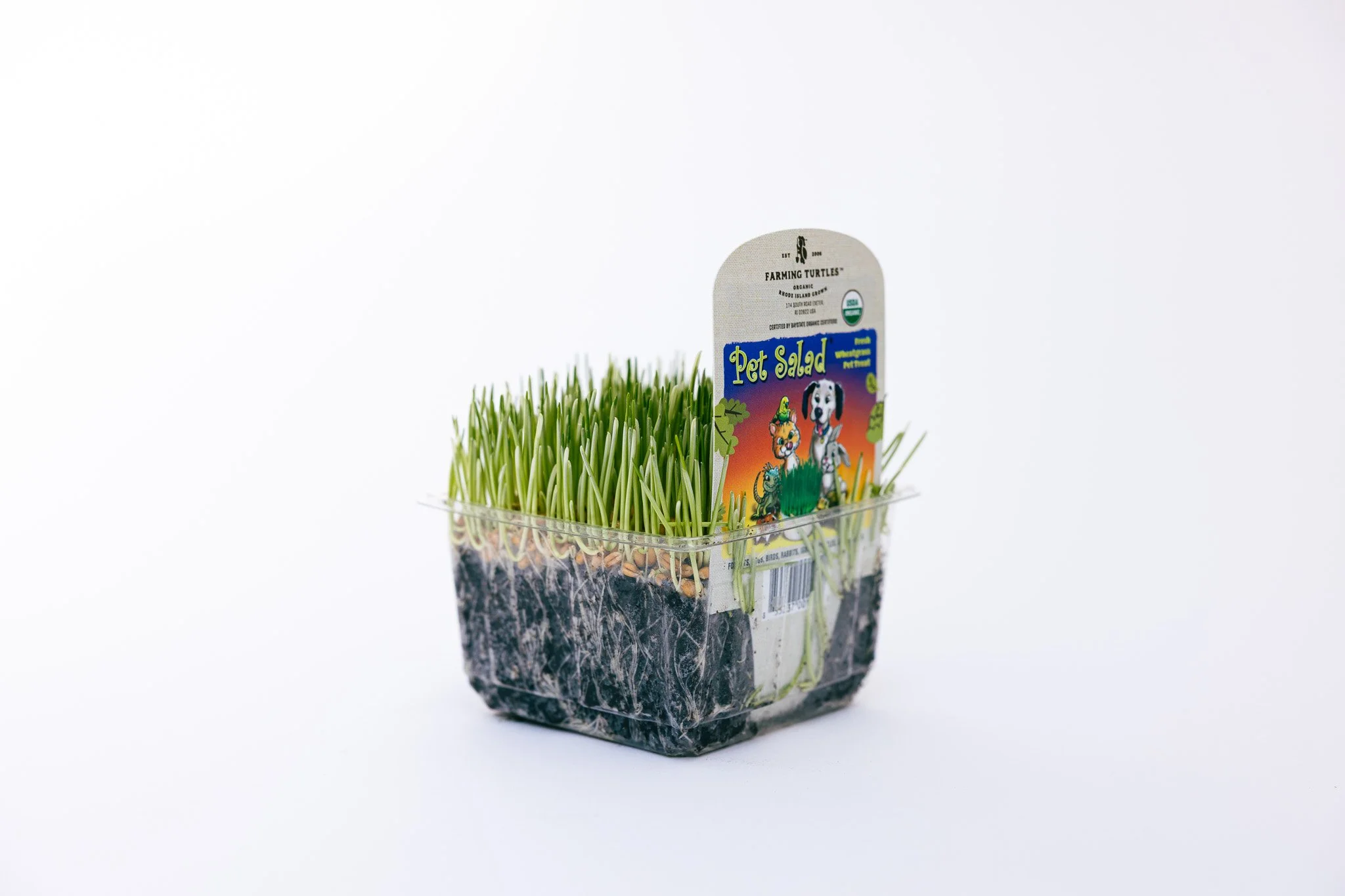 Pet salad in clear plastic container with grass and a colorful label featuring a dog and a cat.
