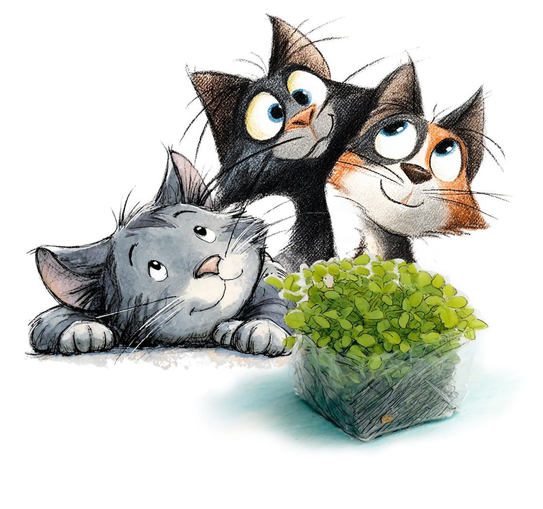 Illustration of three cats looking up at a container of lush green cat grass.