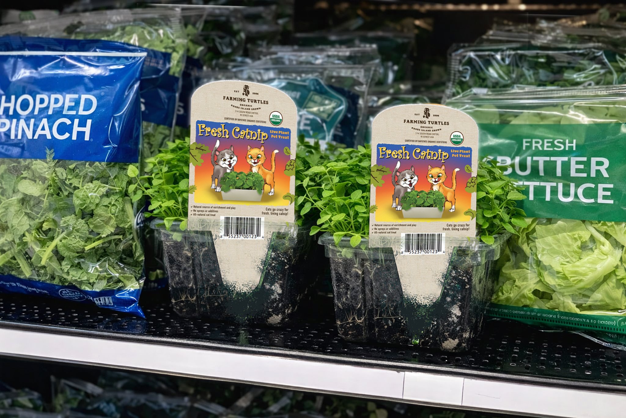 Fresh organic produce including spinach, lettuce, and other greens packaged in plastic containers and bags on store shelves.