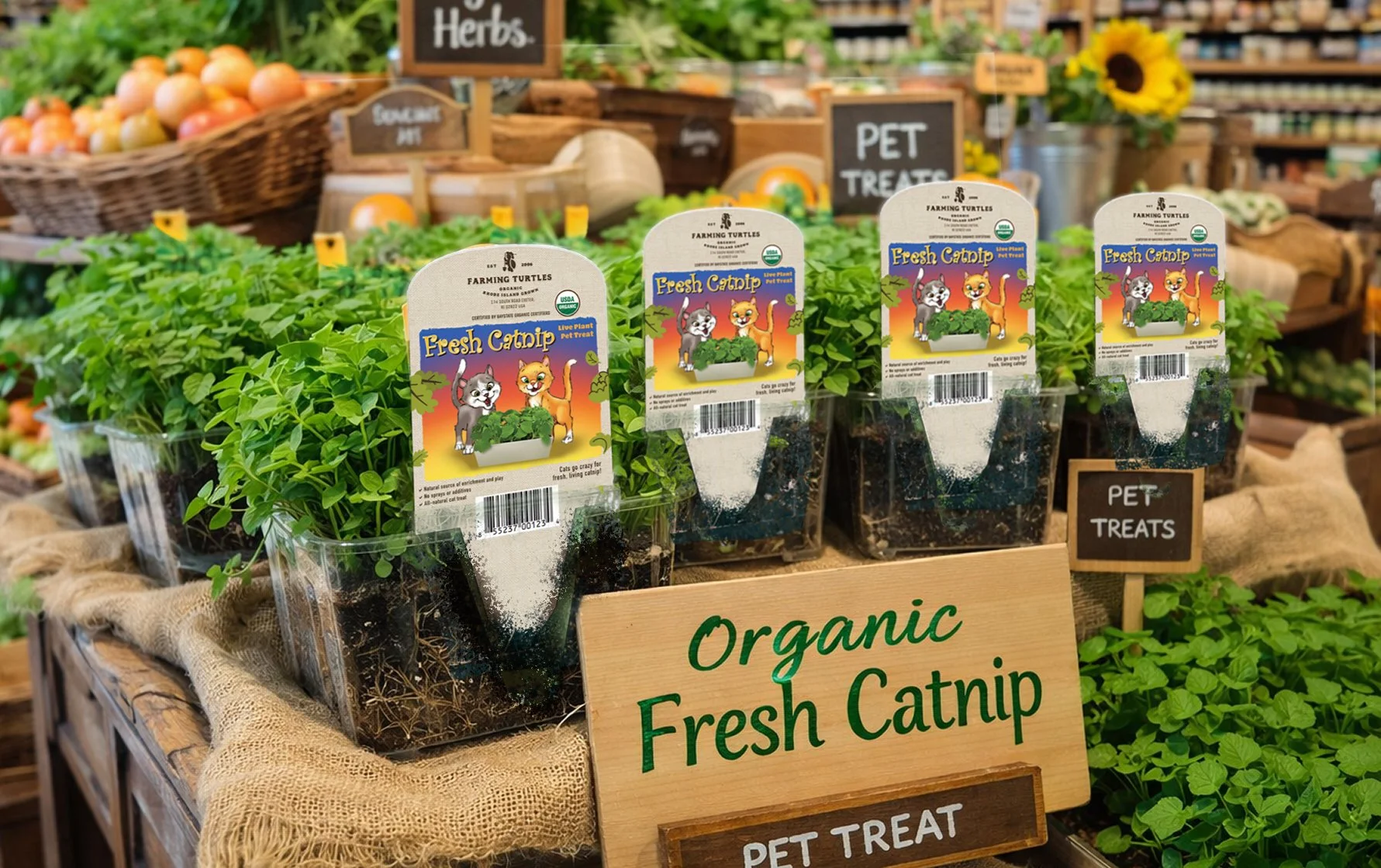 Plant containers with packaging for pet treats called 'Fresh Catnip' featuring cartoon cats, placed on a wooden table at a farmers market, with signs reading 'Organic Fresh Catnip' and 'Pet Treats' in the background.