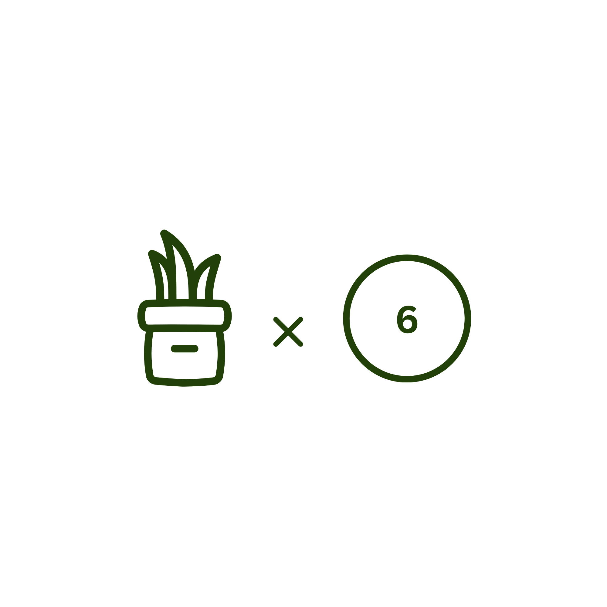 Illustration of a potted plant with the multiplication sign and the number six in a circle, possibly representing planting six plants.
