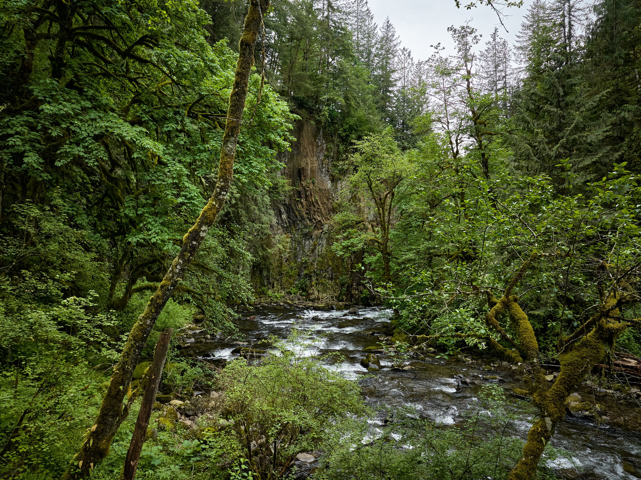 DJI_20240523134735_0157_D.jpg