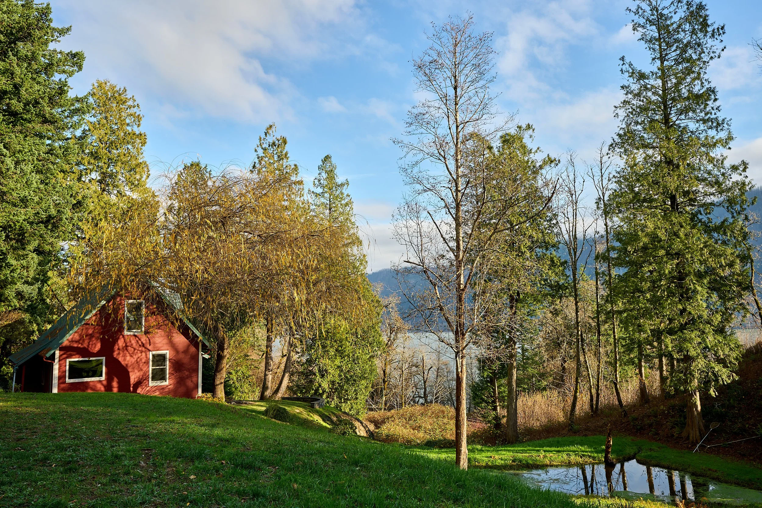 52 Puzzled Woman_13.jpg