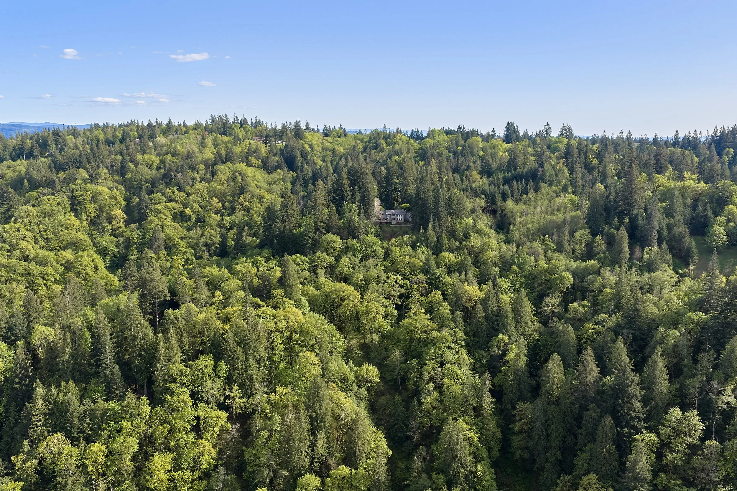 832 Wildlife Drive_031.jpg