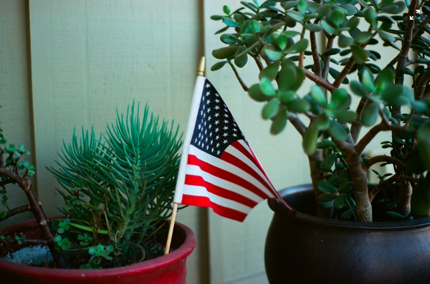 Screen-Shot-2018-12-20-at-1.10.08-PM.png