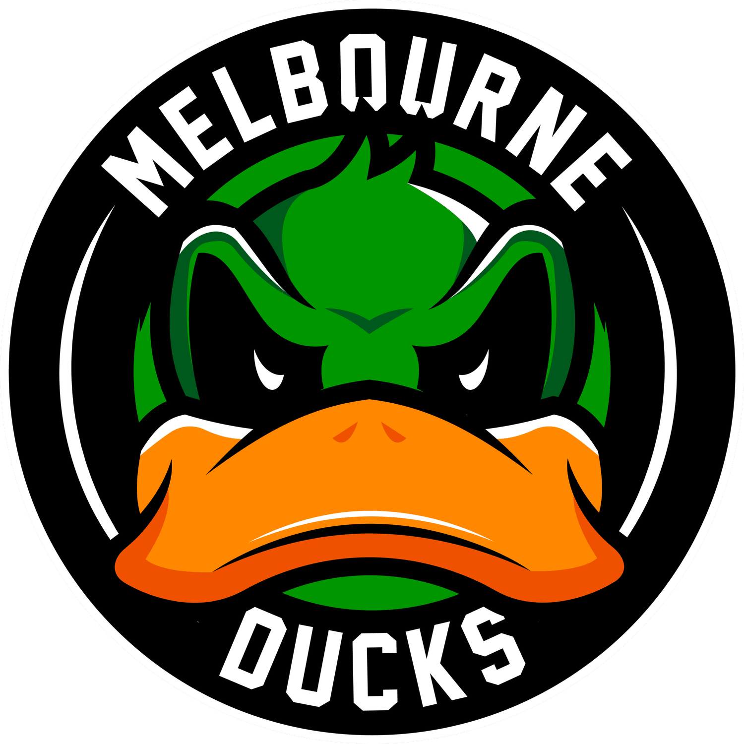 Ducks Hockey