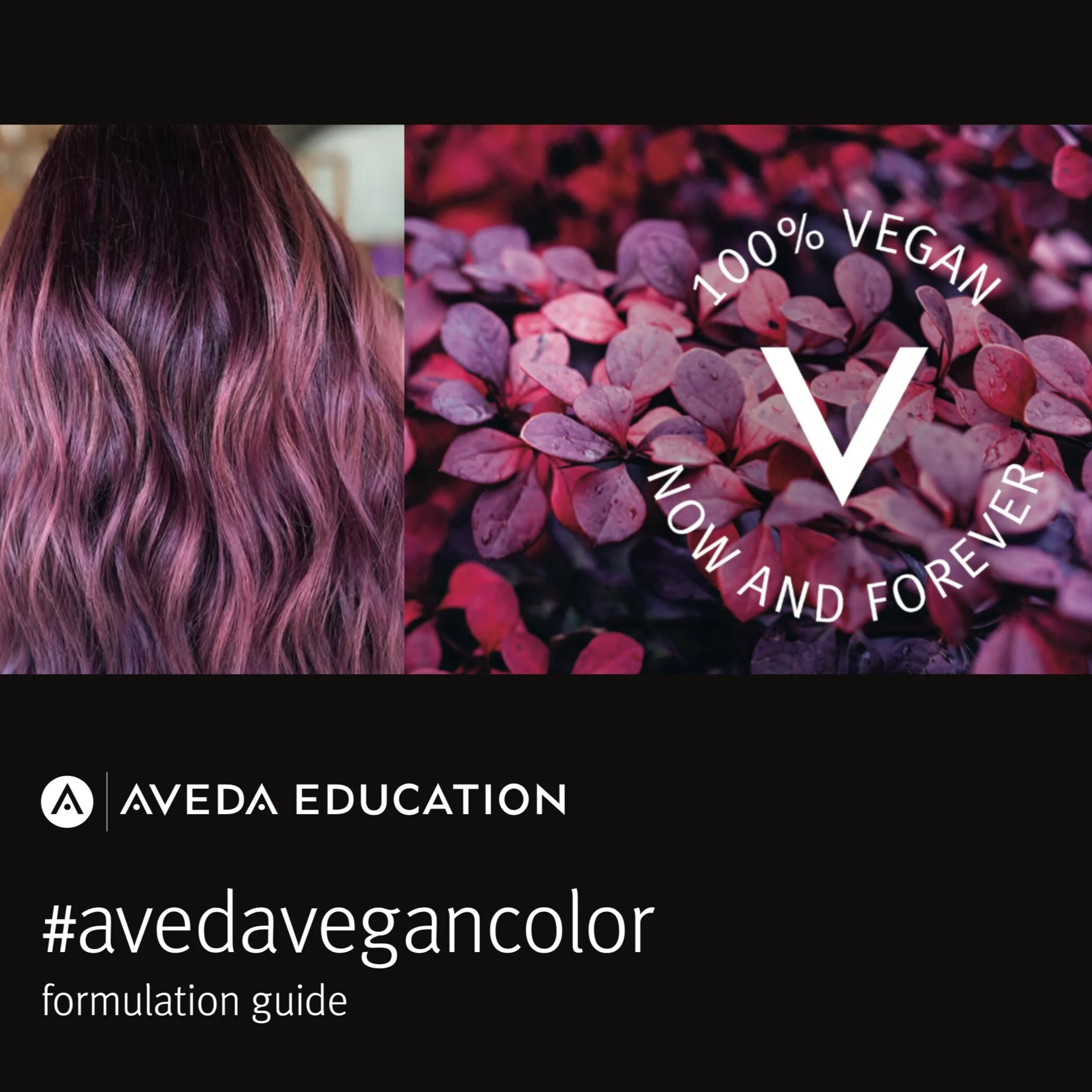 Maranda Wienken in Aveda’s Color Formulation Guide