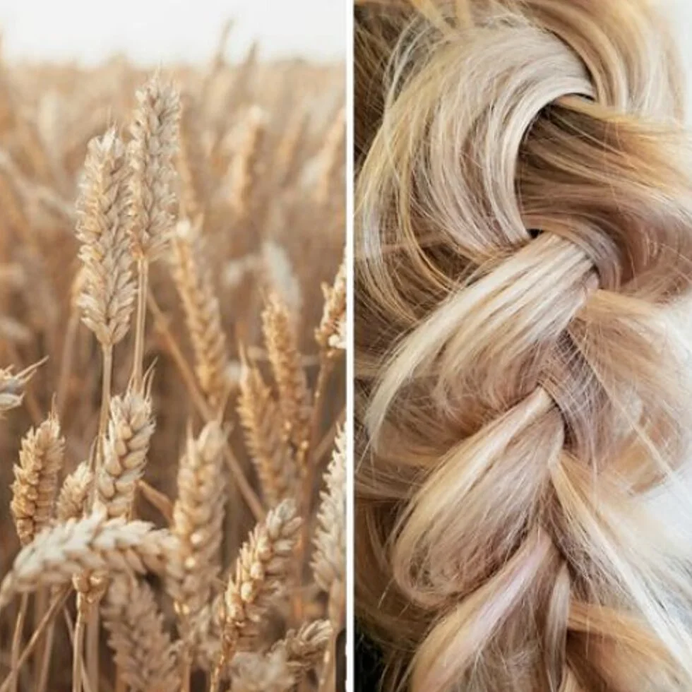 May artist contest #avedaveganblonde