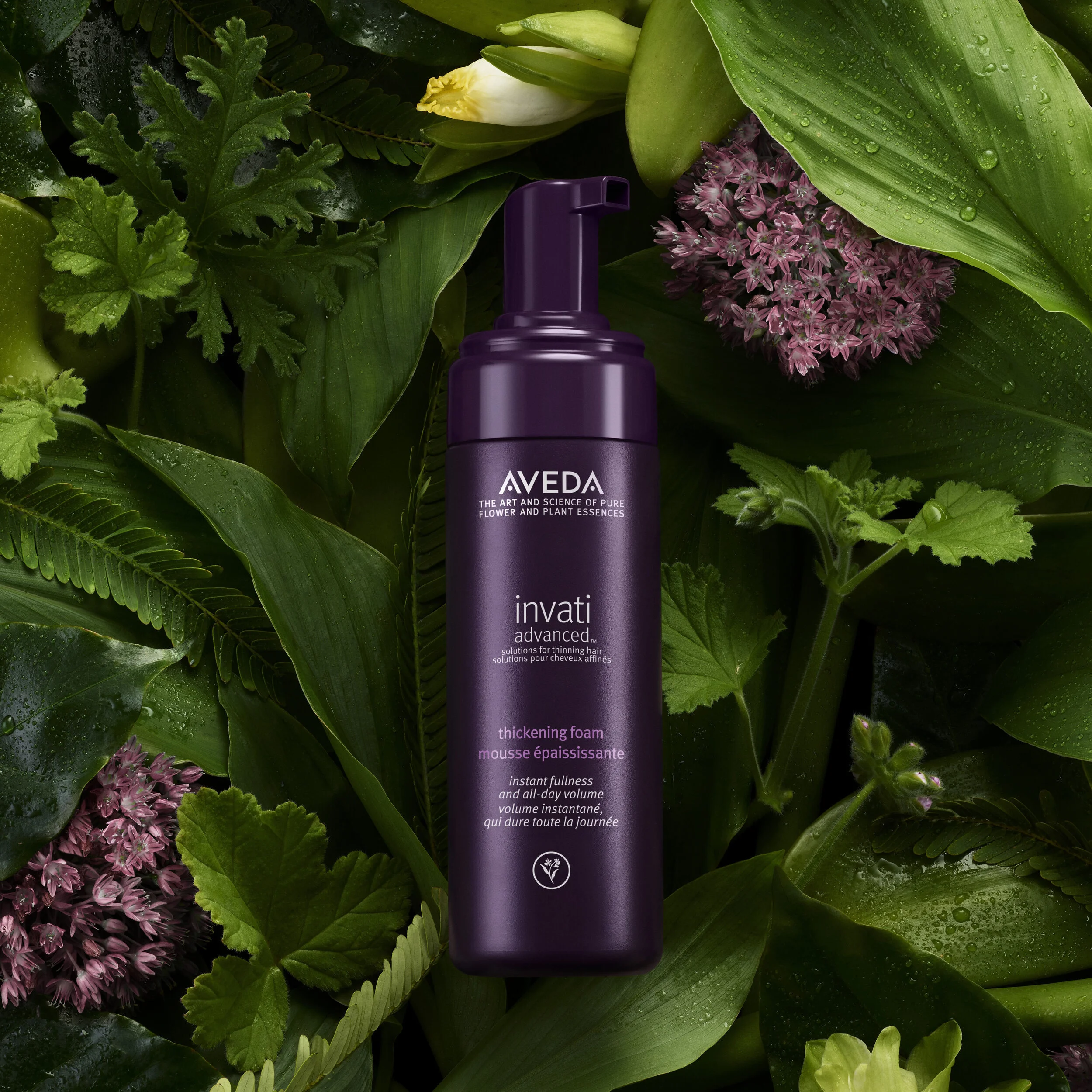 invati social assets