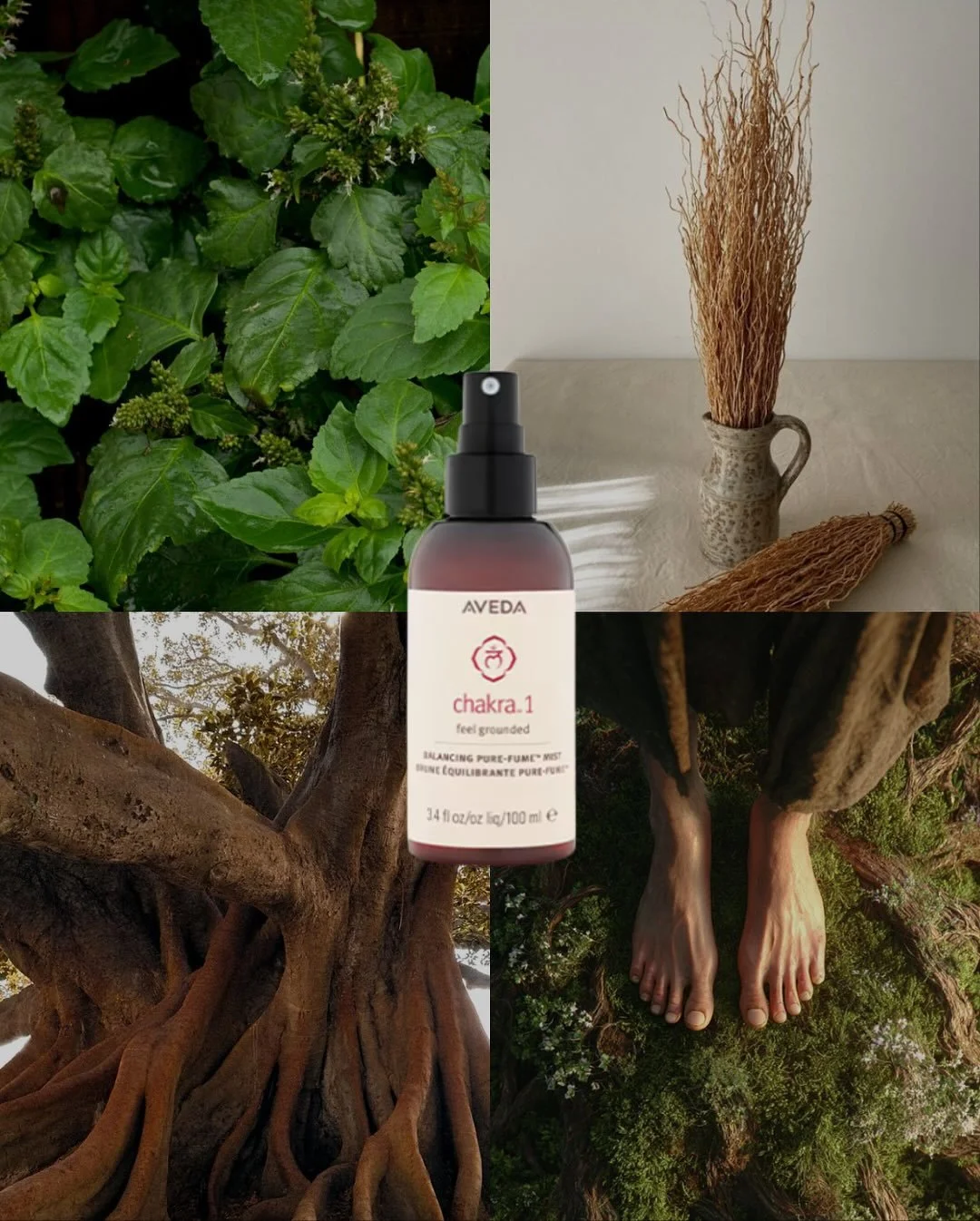 Balance starts at the roots literally. 🍃

Aveda&rsquo;s Chakra Balancing Mists are designed to support your energy centers with aroma, intention, and everyday ritual.

1️⃣ Chakra 1 (Grounded) Stability and connection
2️⃣ Chakra 2 (Nourished) Creativ