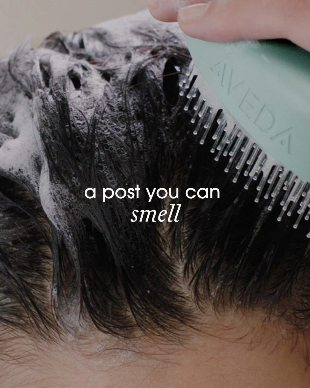 A post you can smell. 🌿✨

Close your eyes and take a breath. Whether it&rsquo;s the calming notes of Shampure, the invigorating burst of Rosemary Mint, or the deep, earthy grounding of Stress-Fix&mdash;the power of an Aveda aroma is unmistakable.

I