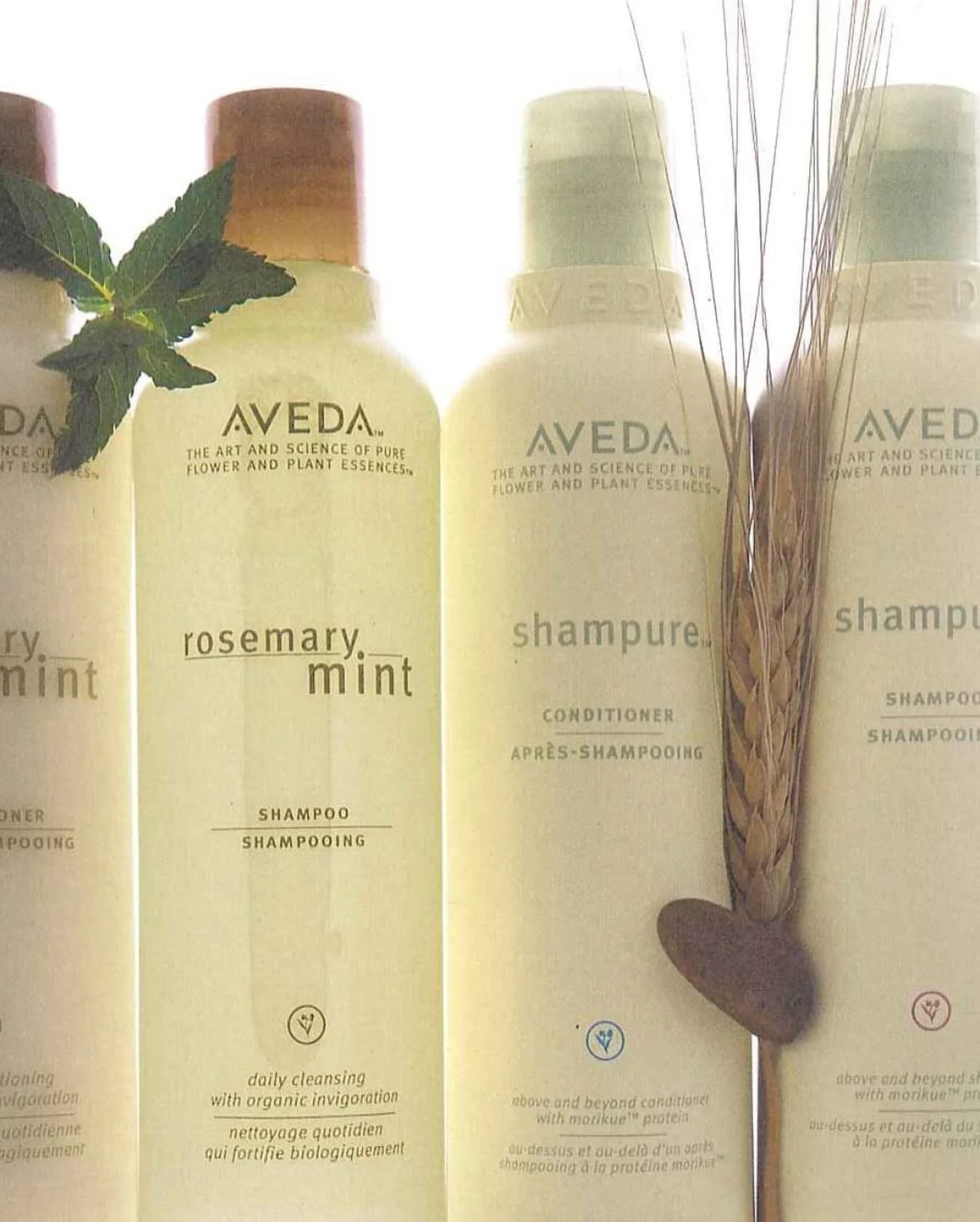 The look may change, but the feeling never does. @aveda 🌿
Rosemary Mint and Shampure&trade; Pure-Fumes&trade; still smell like comfort, care, and coming home. 

Timeless for a reason.
What was your first Aveda scent?
