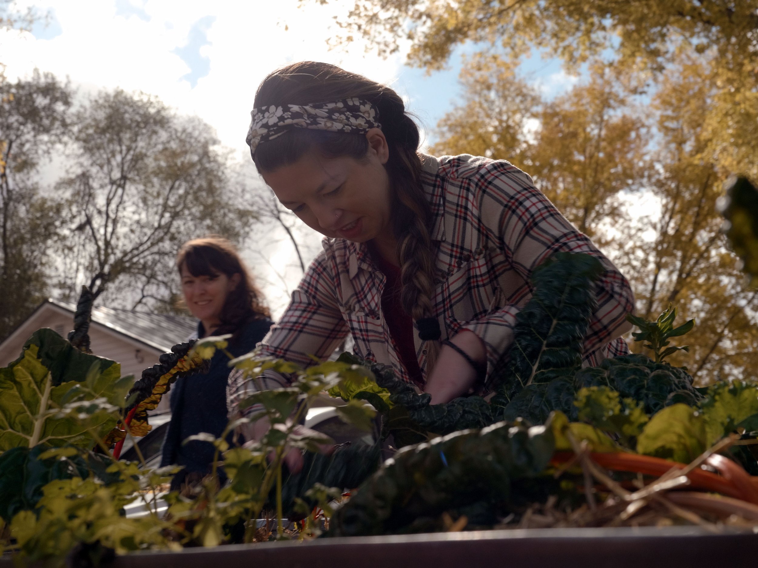 young women in recovery community gardening experiential approach.jpg