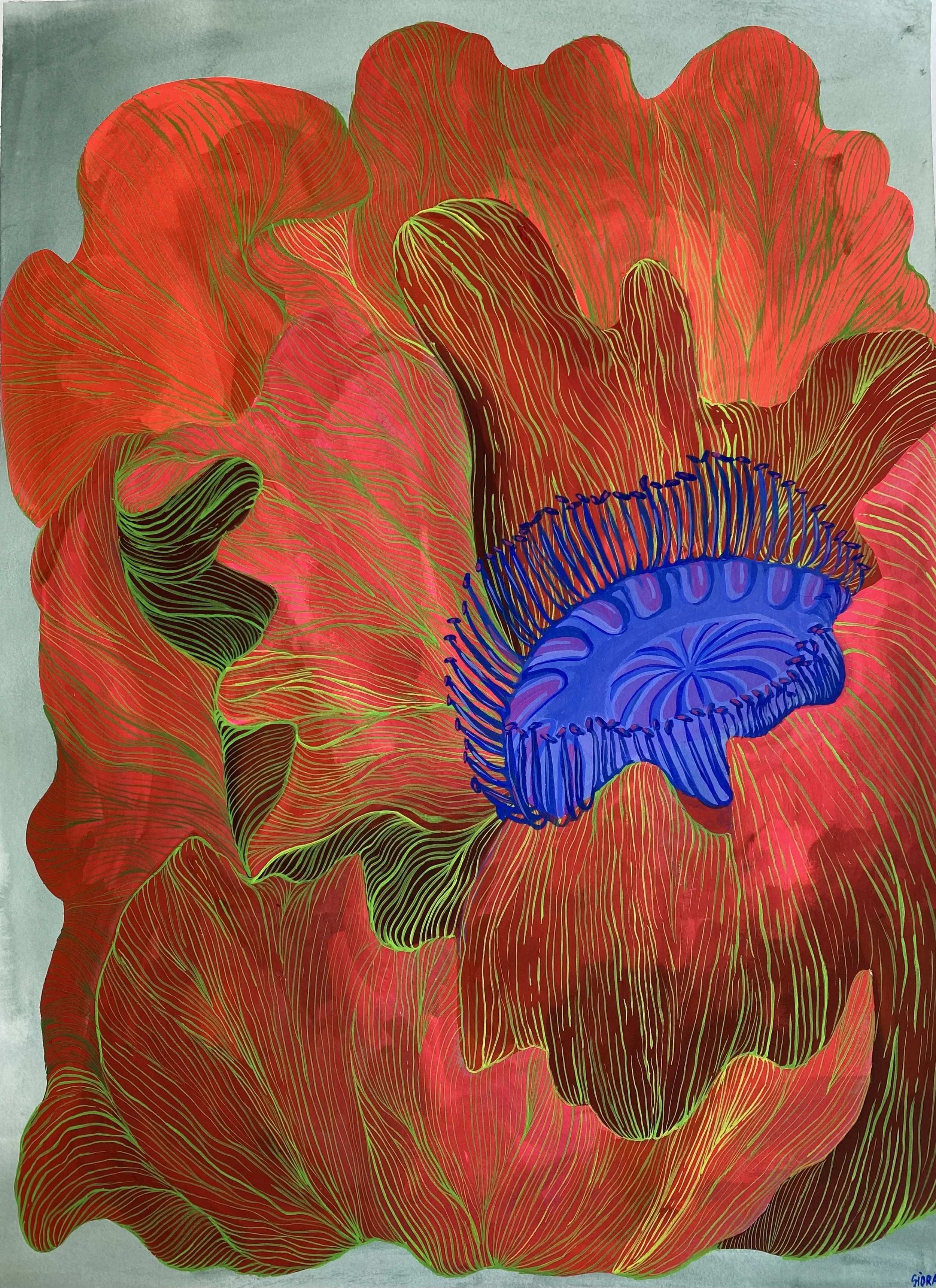 Poppies Series 5.jpeg