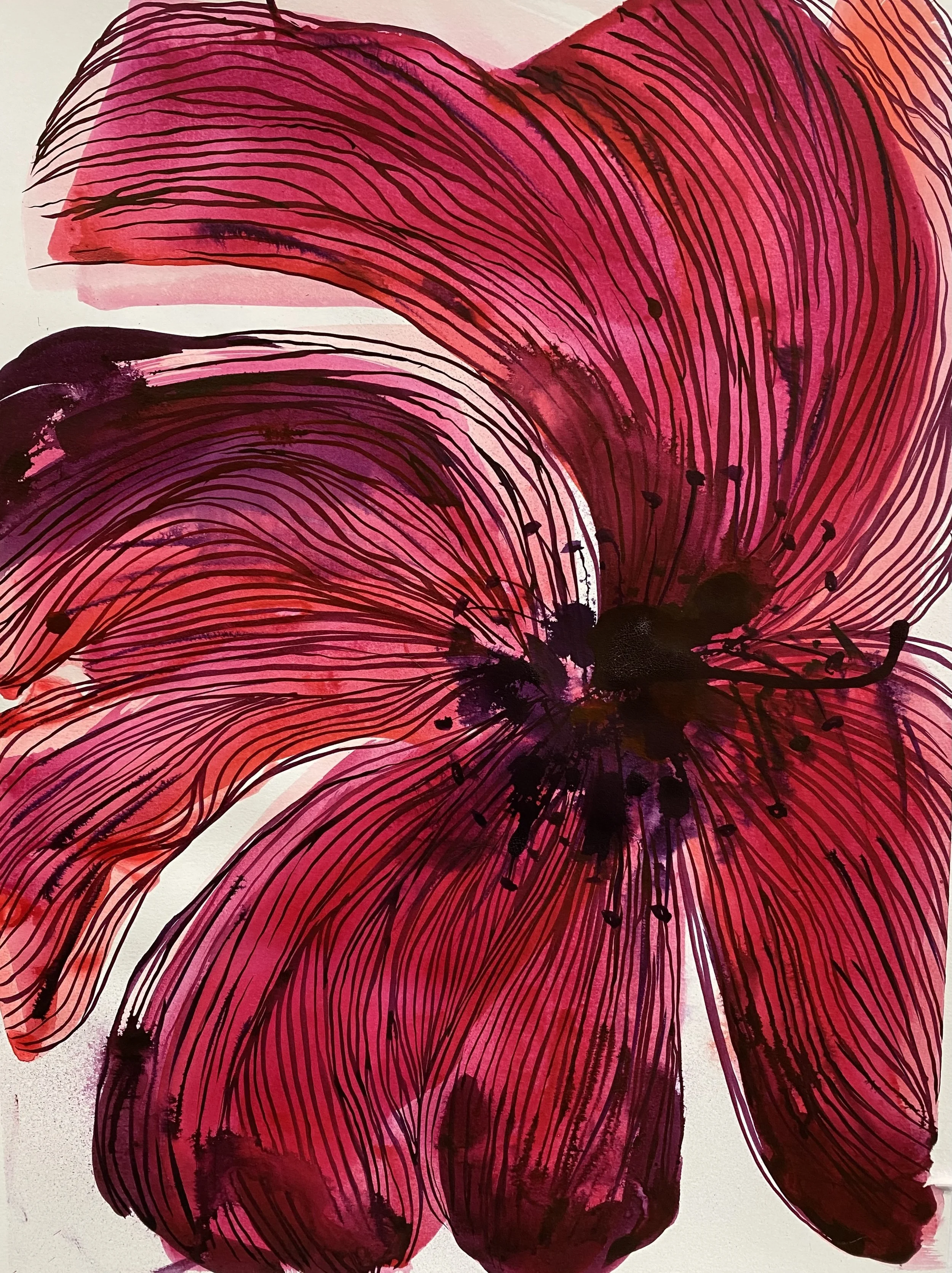 Poppies Series 4.jpeg