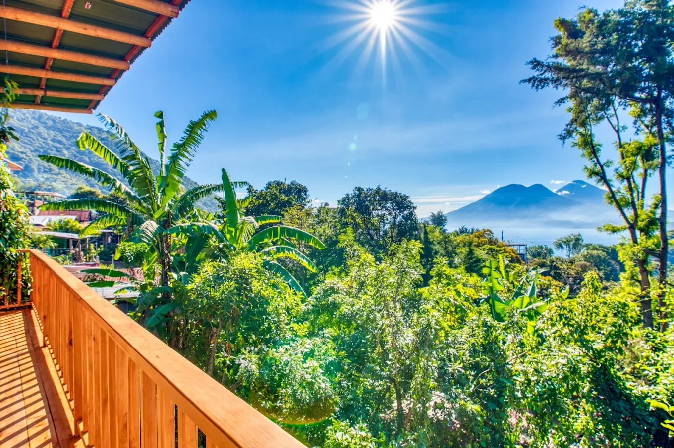 shamana view.webp
