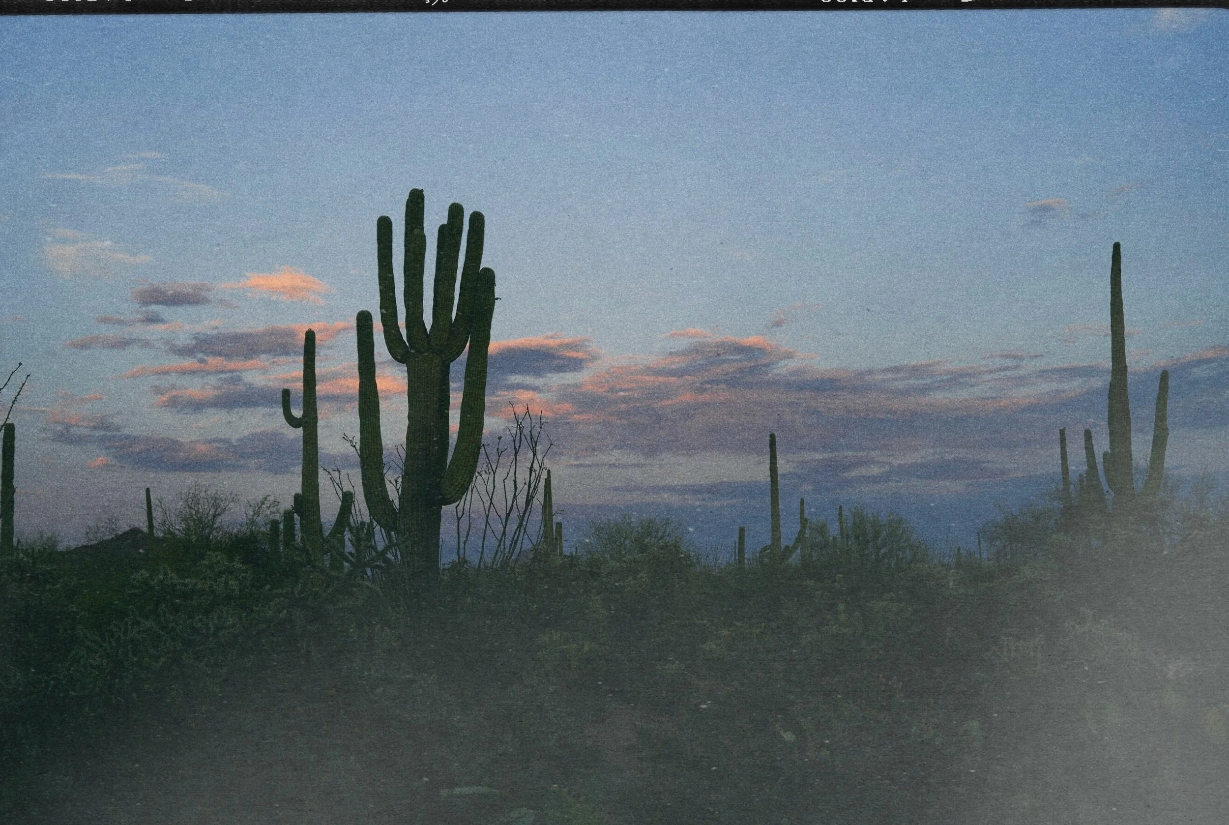 dsc3165B-Edit.jpg