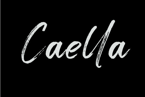 Caella Text Logo Black Bg White Text.png