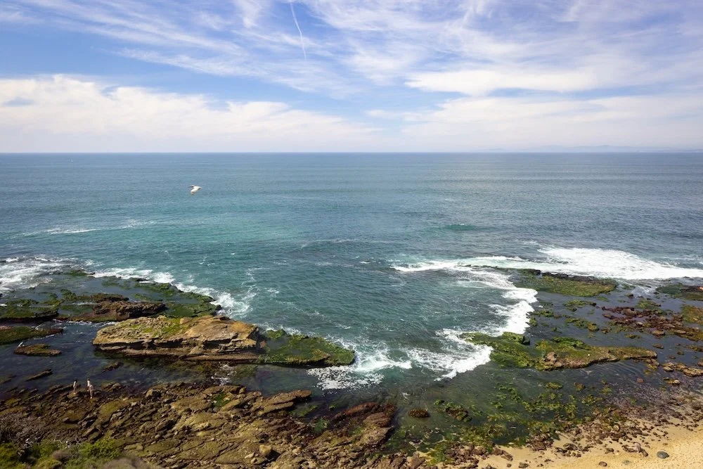 A panoramic view of a coastal scene featuring rocky shorelines covered in green algae and surrounded by clear blue water. A few small waves crash against the rocks. In the distance, a boat is visible on the water under a bright sky with wispy clouds.