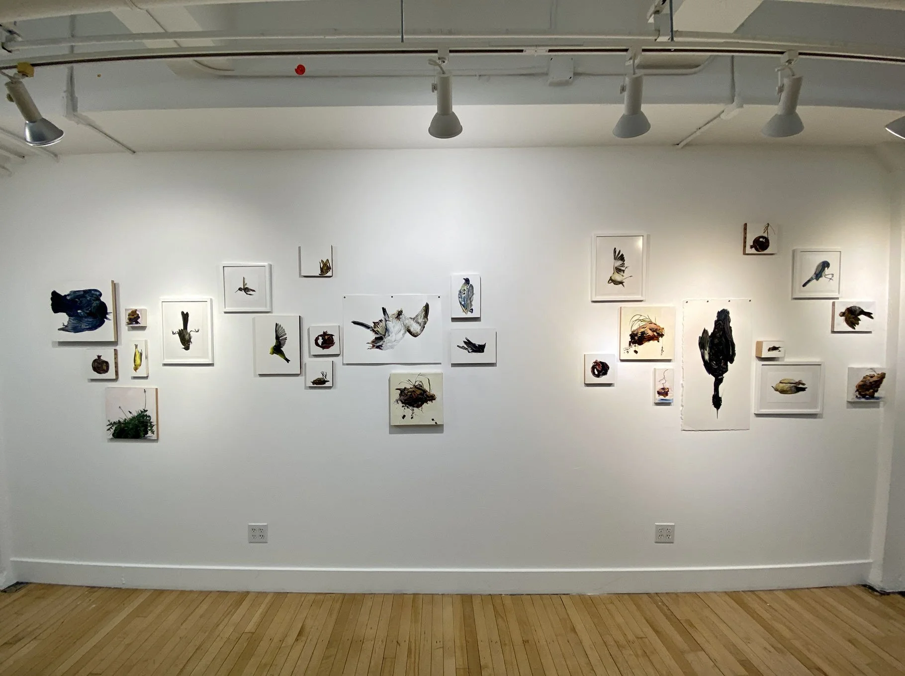 Cooper Lobby Artist Feature: Andrea Bersaglieri, Flags for the Fleeting