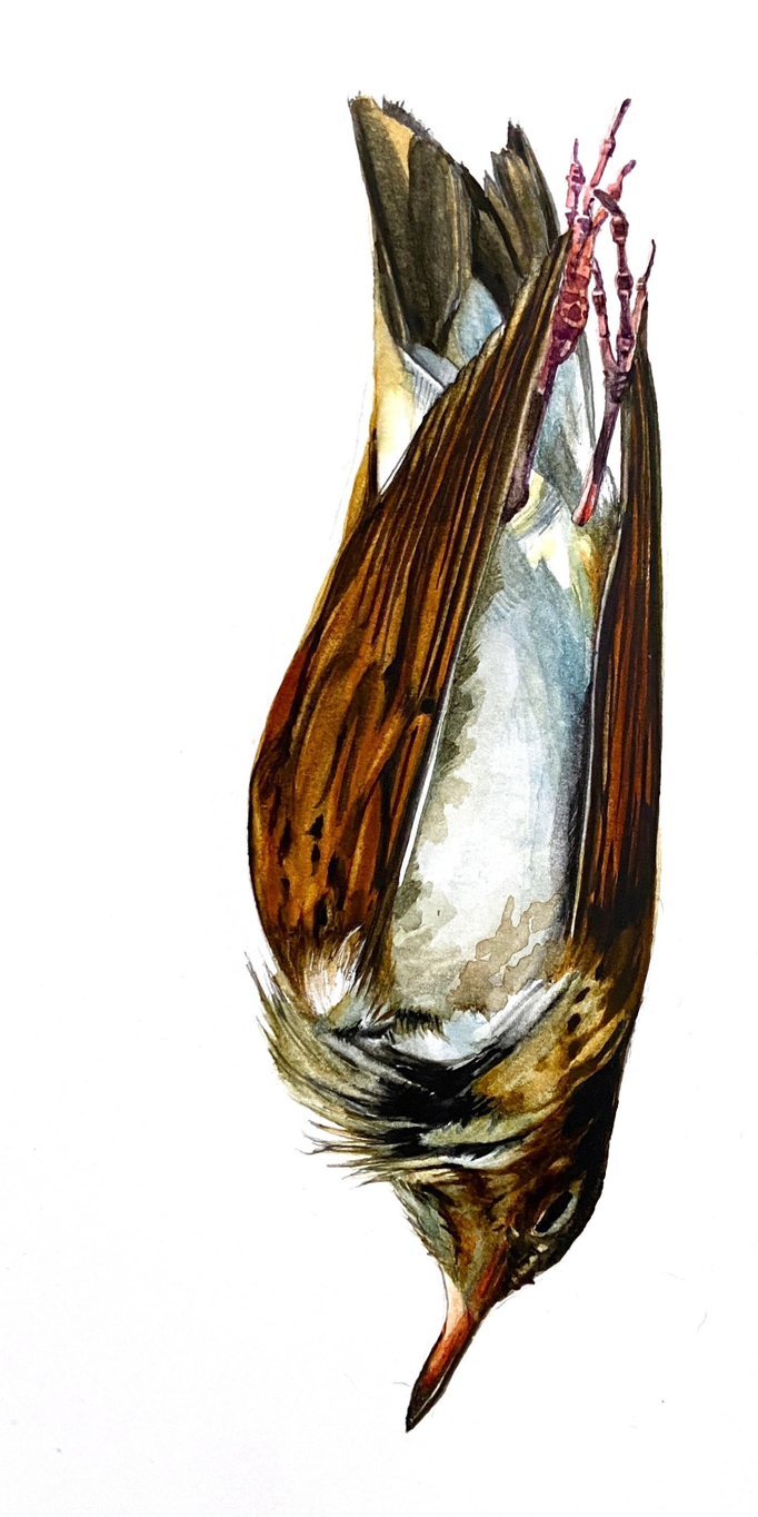 image (3).png
