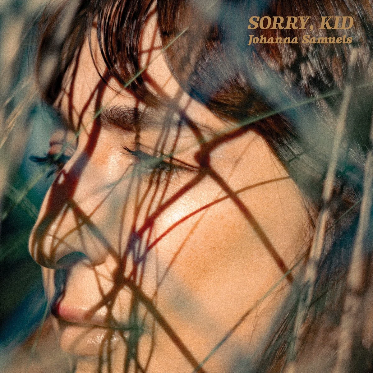 sorry, kid.jpg