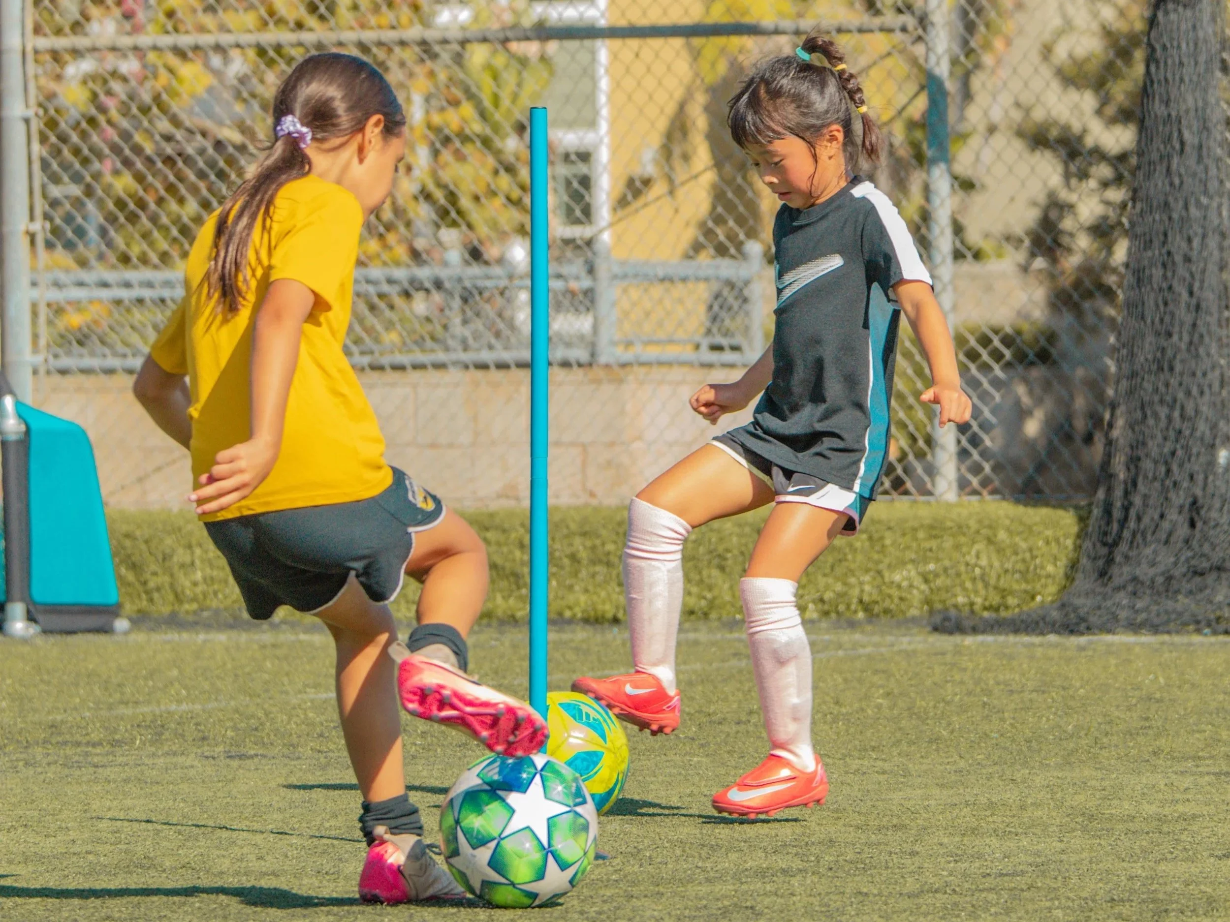 2026 February Clinic #1