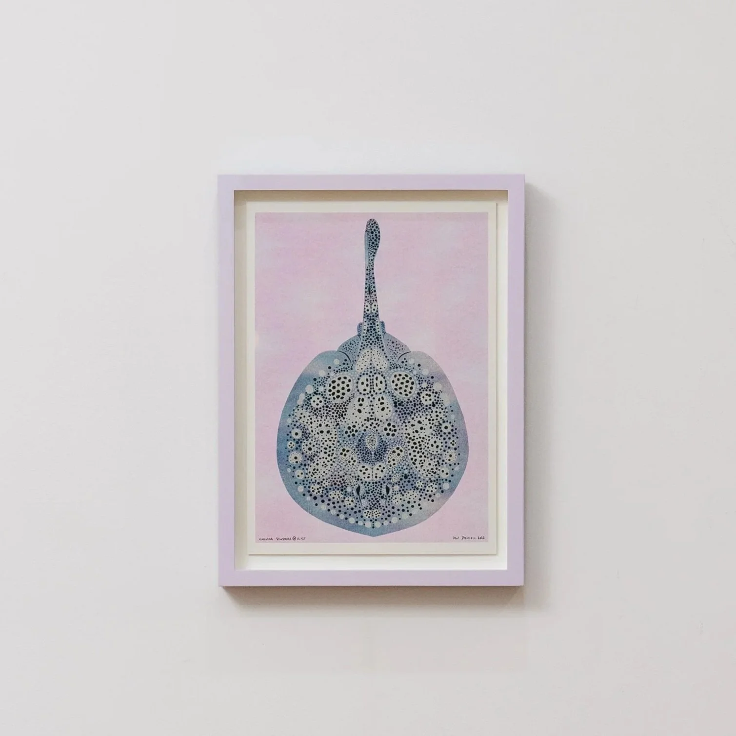 Framed Edition