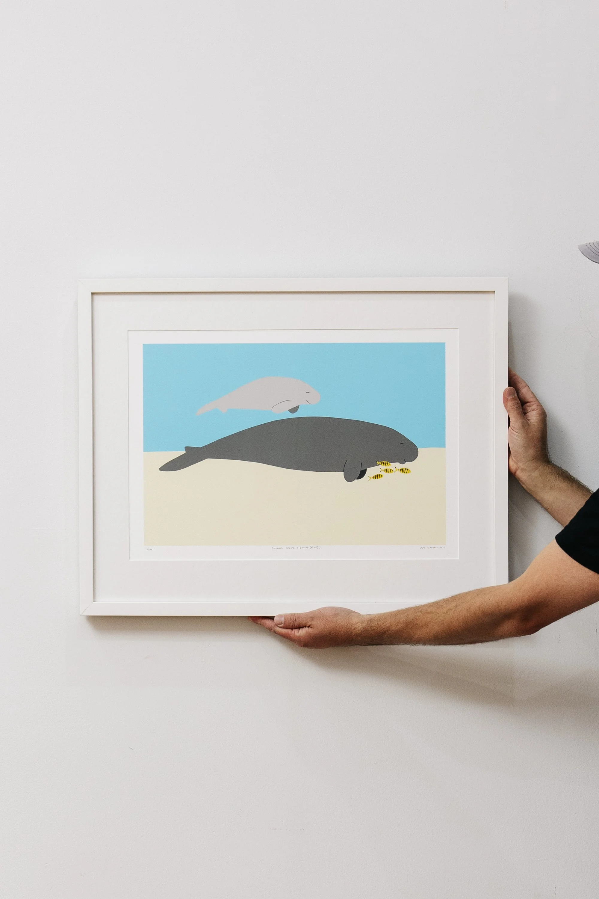 Dugongs Dugon Sirenia @ 1.5% Print